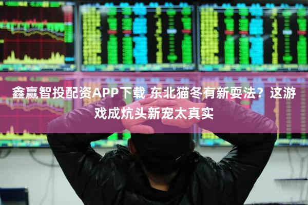 鑫赢智投配资APP下载 东北猫冬有新耍法?这游戏成炕头新宠太真实